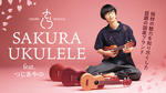 SAKURA UKULELE