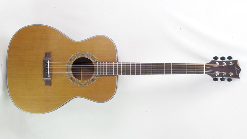Seed Acoustic Guitar / S1000-TS】サーモ・ウッド加工を施した即戦力 ...