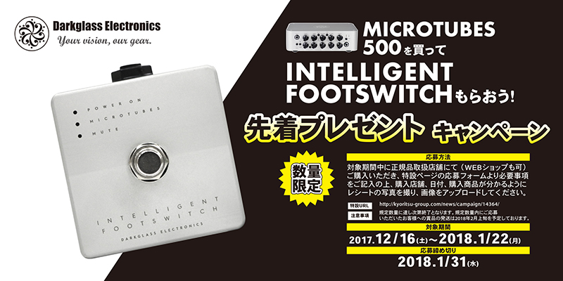 Darkglass Electronics / Microtubes 500、DG210C｜製品レビュー